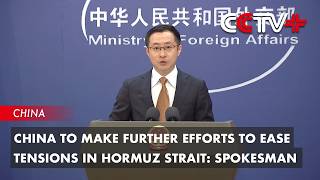 China to Make Further Efforts to Ease Tensions in Hormuz Strait: Spokesman