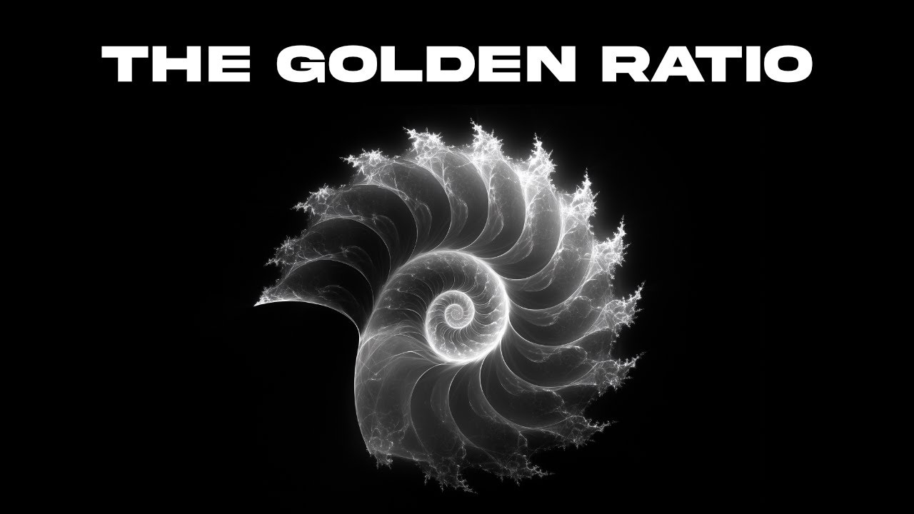 The Hidden Code of Life - YouTube