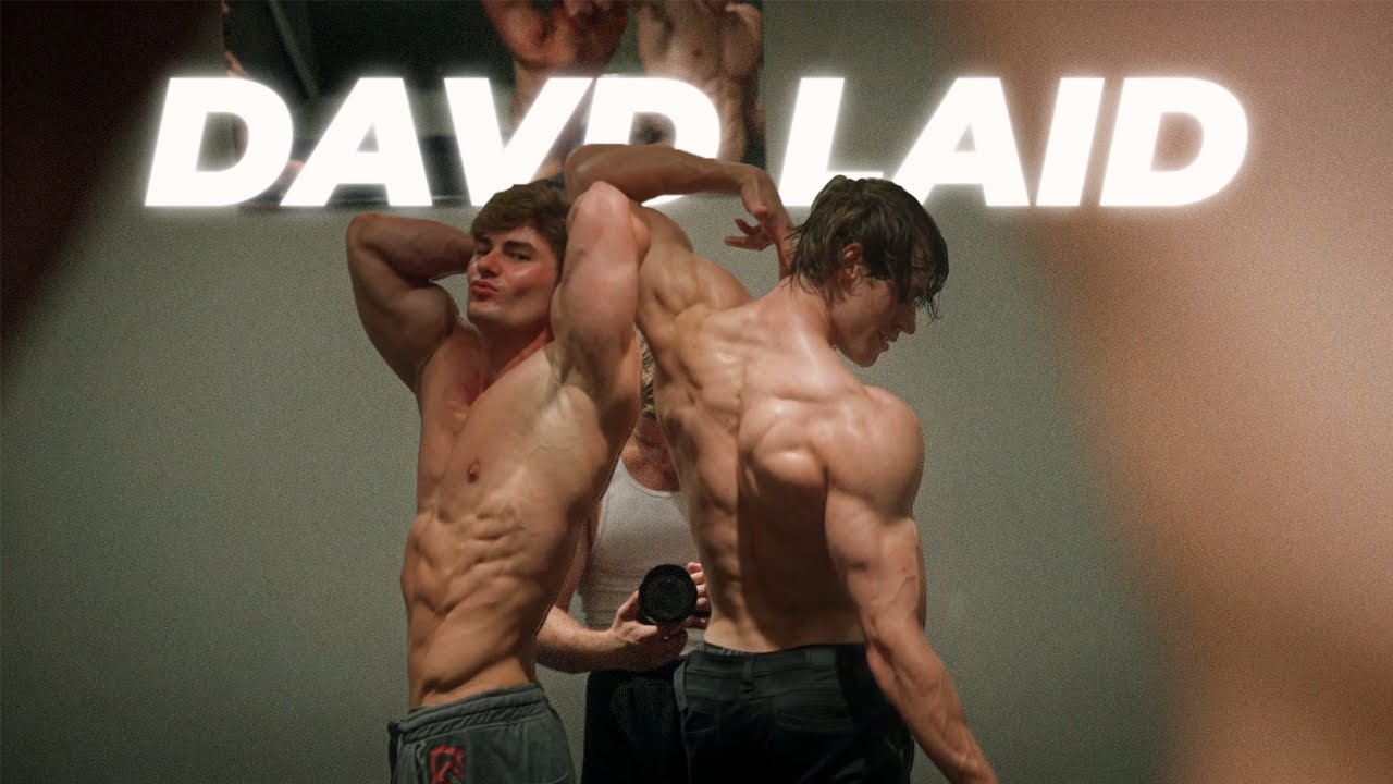 SHAMELESS | DAVID LAID (Speed Up)