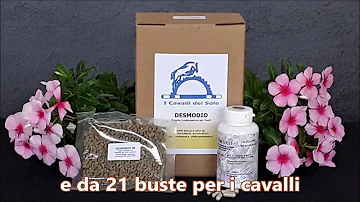 Quali sintomi fanno parte della triade di Cushing?