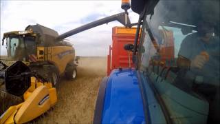 moisson 2017 colza