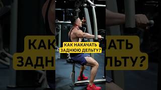 ❌Как накачать заднюю дельту? Тренажер бабочка/баттерфляй.