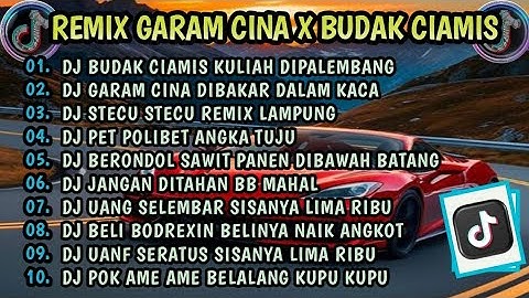 REMIX GARAM CINA X BUDAK CIAMIS KULIAH DIPALEMBANG | REMIX PALEMBANG X REMIX LAMPUNG  VIRAL TIKTOK