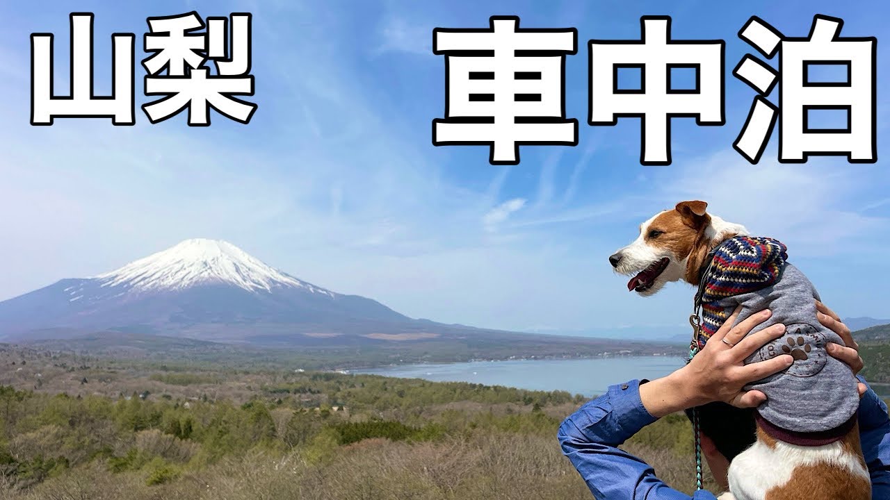 愛犬と山梨車中泊の旅#1