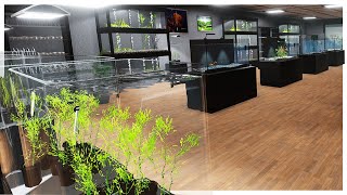 Opening My First Luxury Aquarium Fish Store - Aquarist