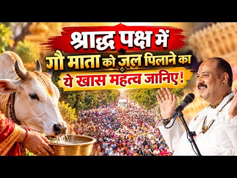 Know the Special Significance of Offering Water to Cows During Shradh Paksha! @panditpradeepmishr...