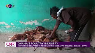 Poultry industry at risk of collapse because of highly pathogenic avian influenza disease - GAPFA