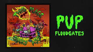 Pup - Floodgates (Official Audio)