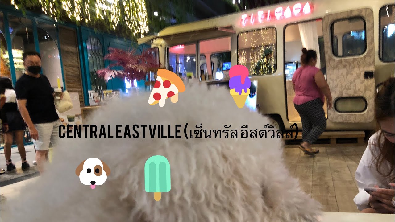 central-eastville-dog-friendly-mall-youtube