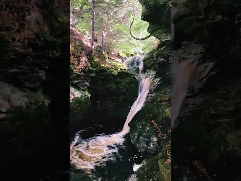Falls of Acharn #scotland #nature #perth #travel