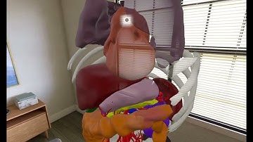 Apple Vision Pro Simulation for Medical imaging - visionOS  SDK Xcode