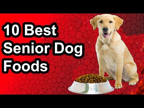 [updated]-10-best-senior-dog-food---the-best-senior-dog-food-2019