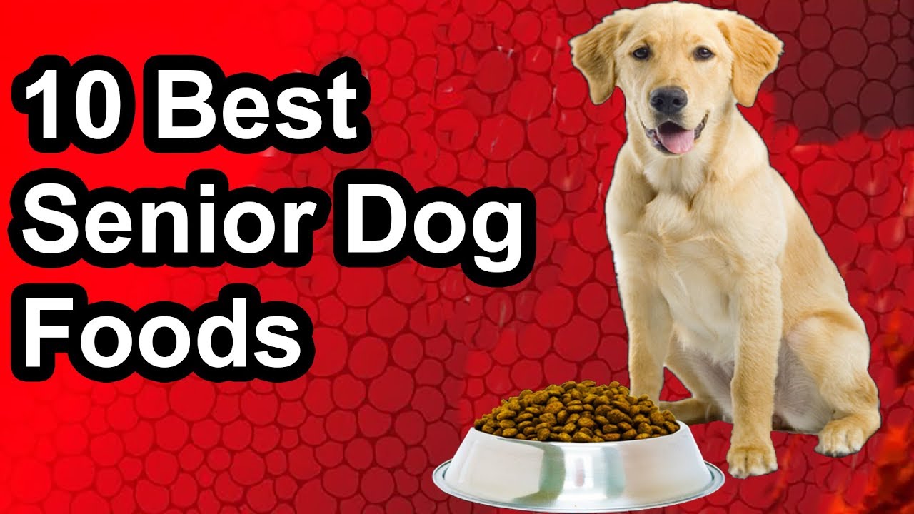 Updated 10 Best Senior Dog Food The Best Senior Dog Food 2019 Youtube