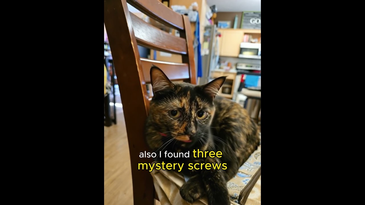 PCS Move Homeschooling: When Workbooks Vanish  