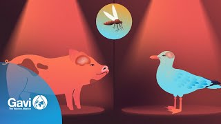 Why Should You Get The Japanese Encephalitis Vaccine?