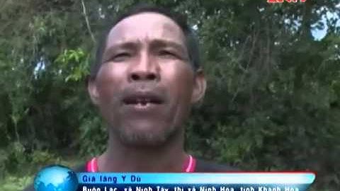 Lễ Hội Cúng Bến Nước Ninh Tây - Ninh Hòa