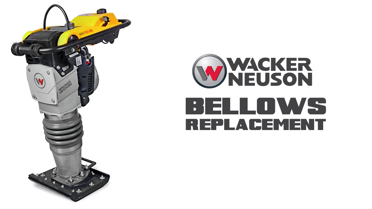 Sammelalbum bestechen Dies wacker bs 60 y reparaturanleitung Spule