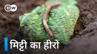 बहुत काम के हैं केंचुए [Earthworms - Vital for soil and plant health]