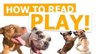 How to Read Play [video's staying up!]