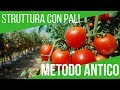 COME COLTIVARE I POMODORI: SOSTEGNO, CONCIME, TRAPIANTO | How grow tomatoes: italian technology