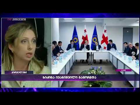 ნინო კალანდაძე - შიდაპარტიული კინკლაობა ბიძინა ივანიშვილის მოტივაციას უწყობდა ხელს