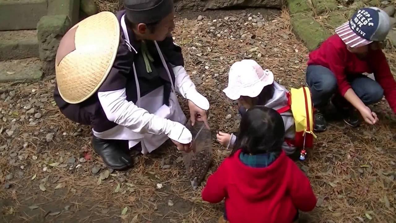 どんぐり拾いの様子 Youtube