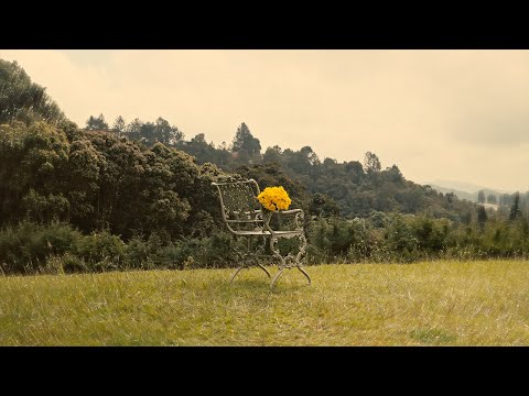 NIWA (VIDEO OFICIAL)