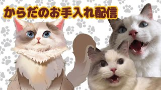 【実写】からだのお手入れをする縦型配信 ＃26【新猫Vtuber】#shorts