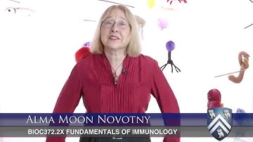 Fundamentals of Immunology Part 2 | RiceX on edX | Course About Video