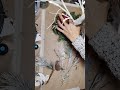 Cardinal | Birch tree centerpiece | home decor diy budget friendly Christmas #diychristmas #diy