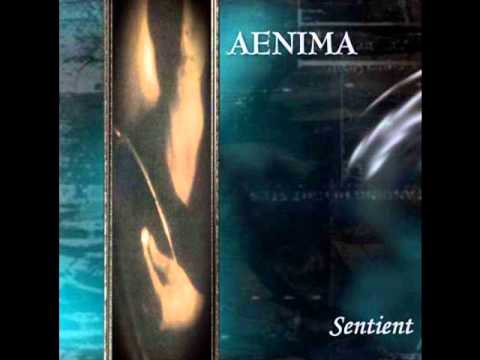 Aenima — Aenima - Silently There