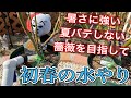 3月上旬