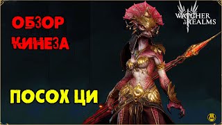 Мини Обзор / Кинеза / Навыки / Рейды / watcher of realms gameplay