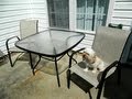 Patio Furniture at CVS? Retail: $109.97, Clearance Price: $27.49! Patio Furniture at CVS? Retail: $109.97, Clearance Price: $27.49!
