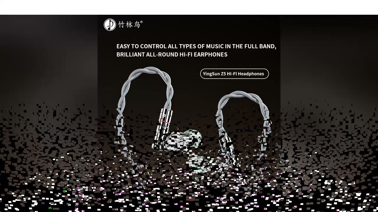 Zhulinniao Yingsun Z5 Wired Earphones HD Dual-Chamber Custom Earplugs HiFi Sound Replaceable Tubes