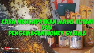 MADU HUTAN || PROSES PENGEMASAN DAN PENGAMBILAN MADU HUTAN HONEY SYAIMA