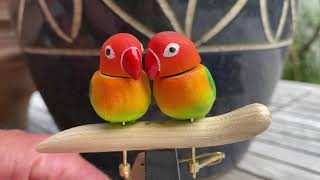 Lovebirds automaton. Small automata to buy.