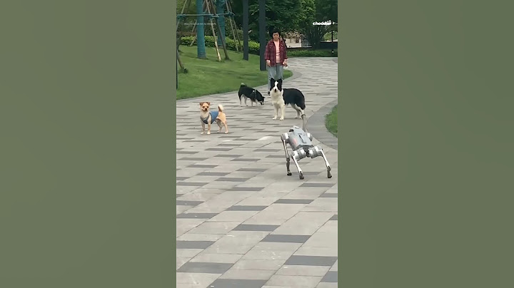 Watch real dogs meet a robot dog