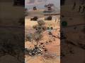 The Polish Lancer Section is trained to take on hardened enemies