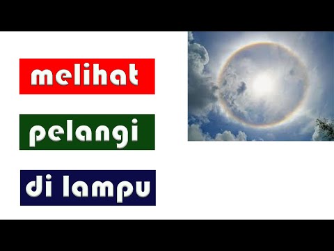 Video: Pelangi Merah Ke Atas Belanda - Pandangan Alternatif