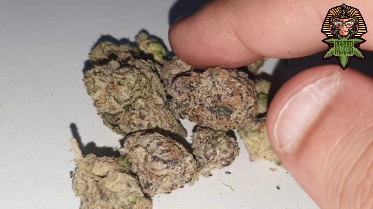 lemon cherry gelato, lemon cherry gelato review, y-kiki strain review, gela...