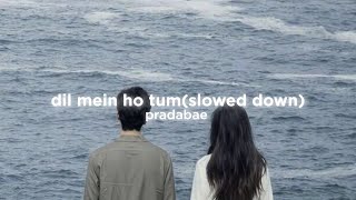 dil mein ho tum (slowed down)