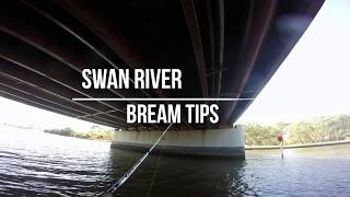 Quick Tips: Land based Bream and Current- Swan River