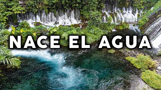 Aquí es donde NACE EL AGUA 💦 el descabezadero de Actopan Veracruz
