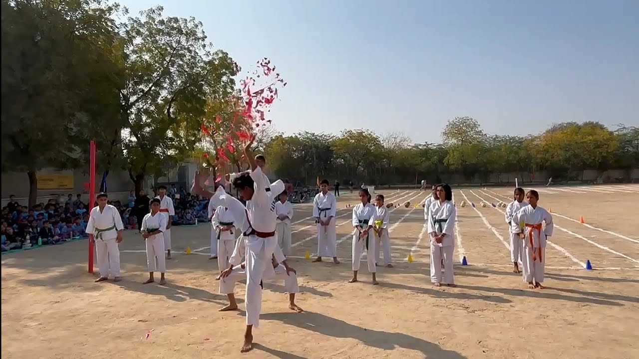 Sports day martial art demonstration 2026 #pali #imran #orchids #2026 #karate #rajasthan 