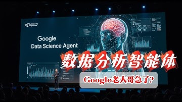 Google Data Science Agent重磅发布！数据分析智能体自动化效果炸裂！Manus横空出世，谷歌也急了？| AI大模型测评 | 工作提效 | threelionsfather 三娃爸