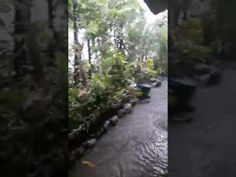 Rain RAIN GO AWAY⛈