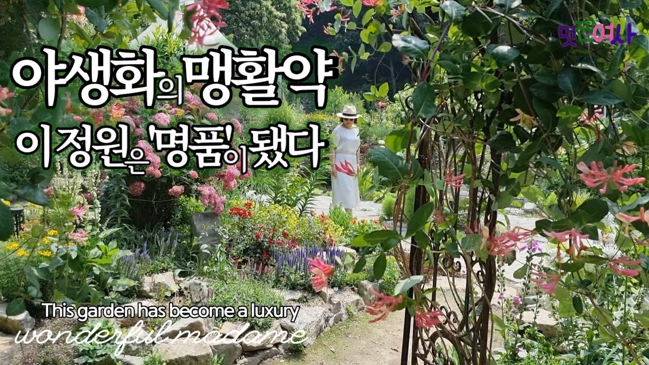 산림청선정 '최고의정원상'받은 정원사가 슥, 내민 그 꽃!/노지월동되는 야생화34종소개
