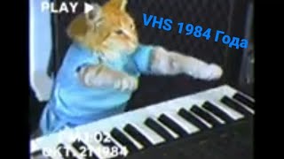 Keyboard cat в стиле 1984 VHS