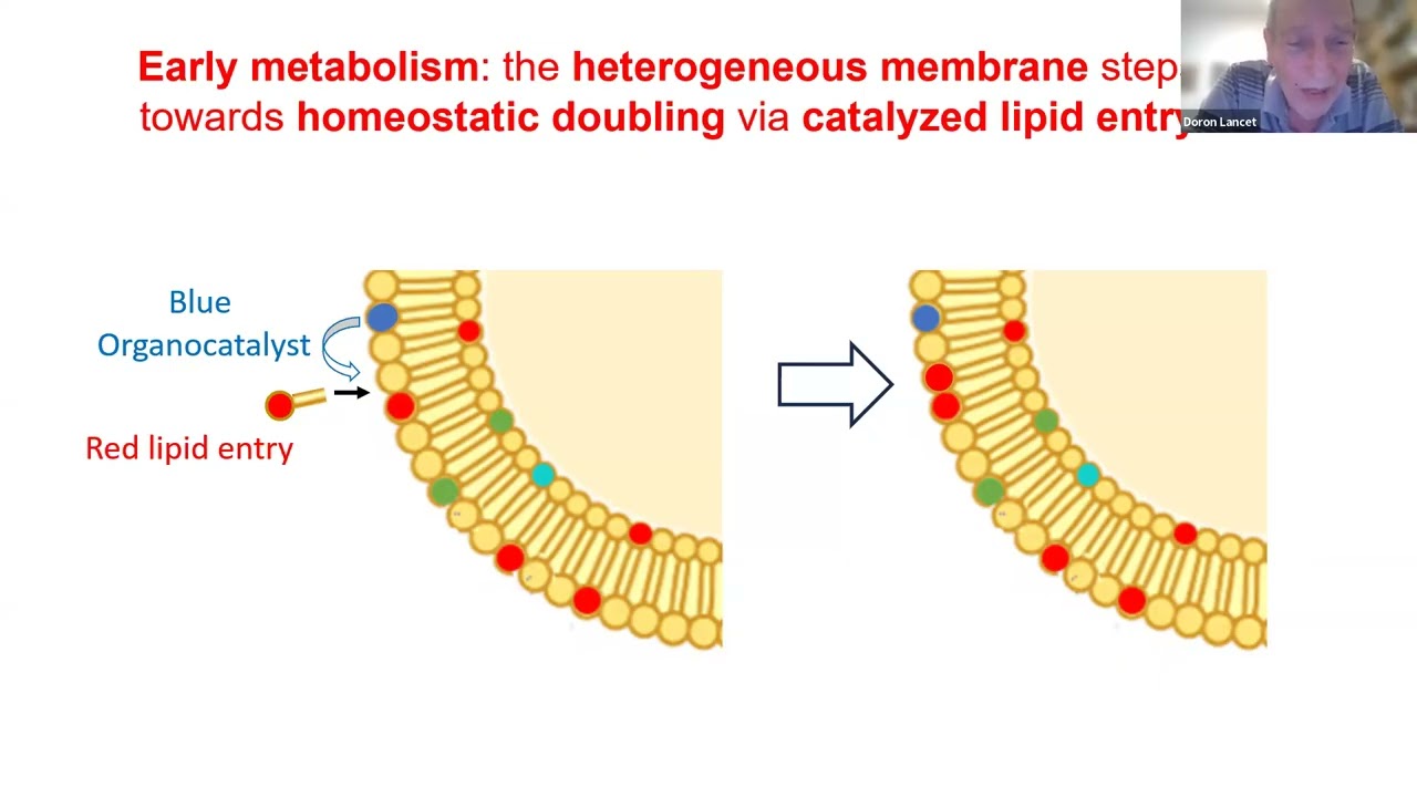 Build-a-Cell seminar Doron Lancet: A lipid-centric spontaneous build-a-protocell in primordial soup